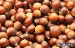 种姓美味，营养价值高。种姓的影响和功能是什