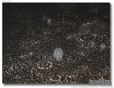 【湛湛碧碧涟漪】