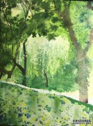 外套上有一棵奇怪的树