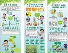 [预订]关于彭光谦转基因主食的8个问题