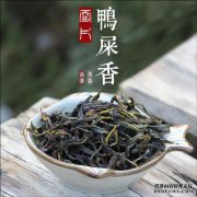 为什么一个凤凰哭声被称为“单矛”？