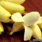 [香蕉品种]帝王香蕉品种（小米香蕉）好吗？
